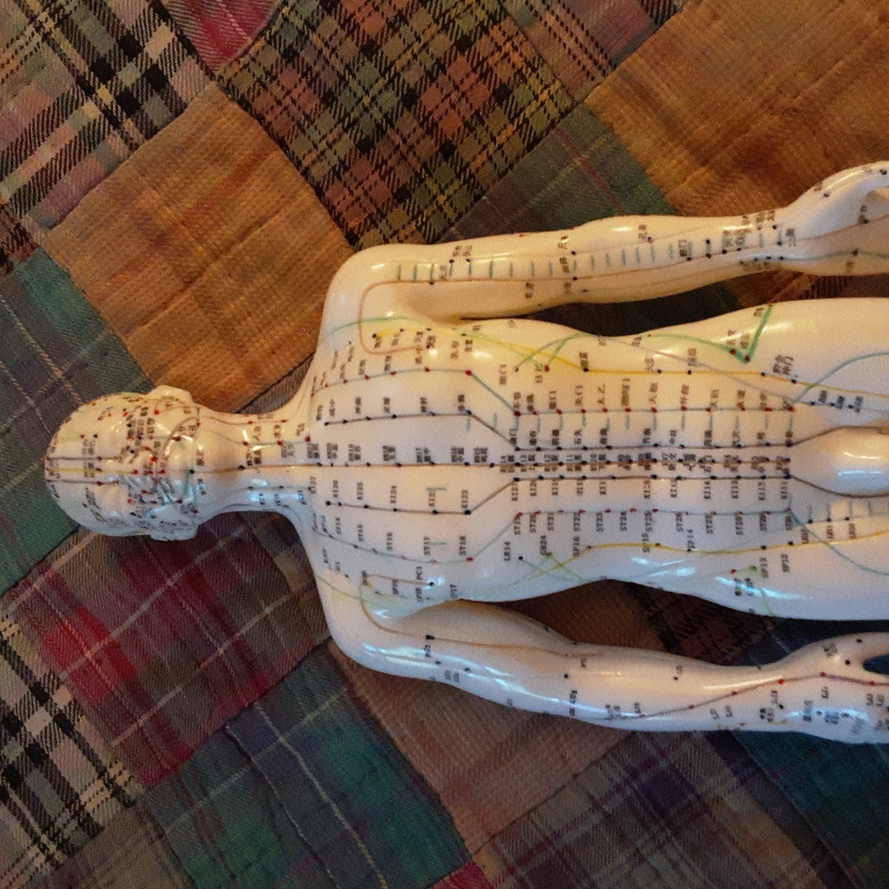 Acupuncture model